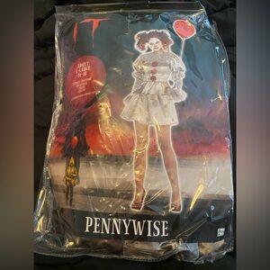 Pennywise Adult women’s costume